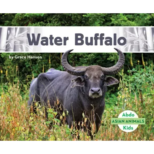 Water Buffalo