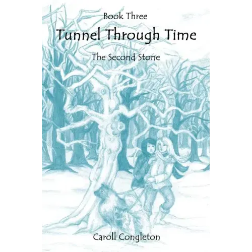 Tunnel Through Time: The Second Stone