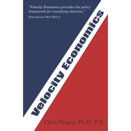 Velocity Economics: The Real American Economy