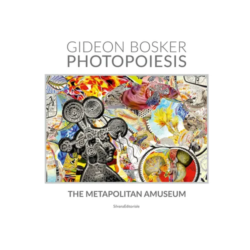 Gideon Bosker: Photopoesis, the Metapolitan Museum