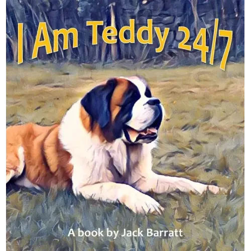 I Am Teddy 24/7