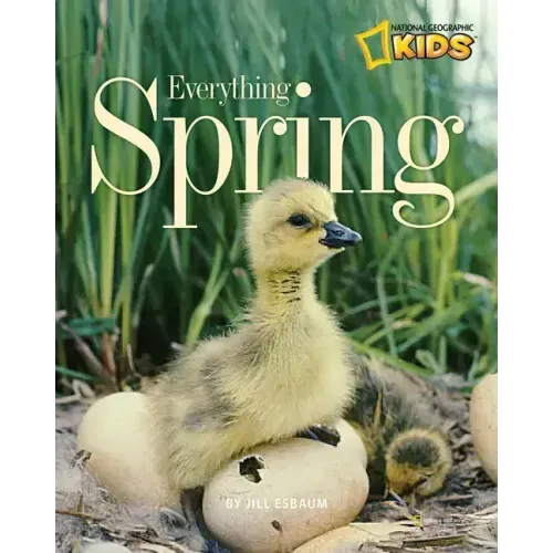 Everything Spring