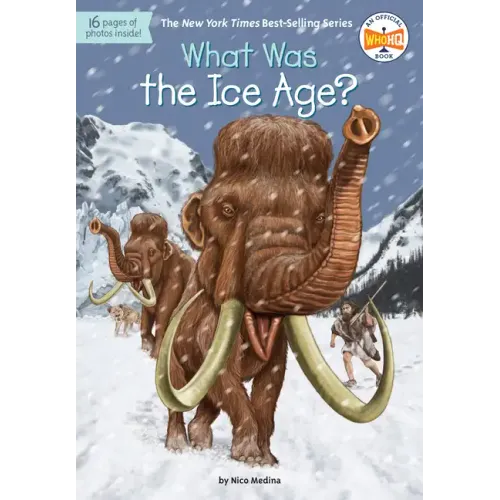 What Was the Ice Age?