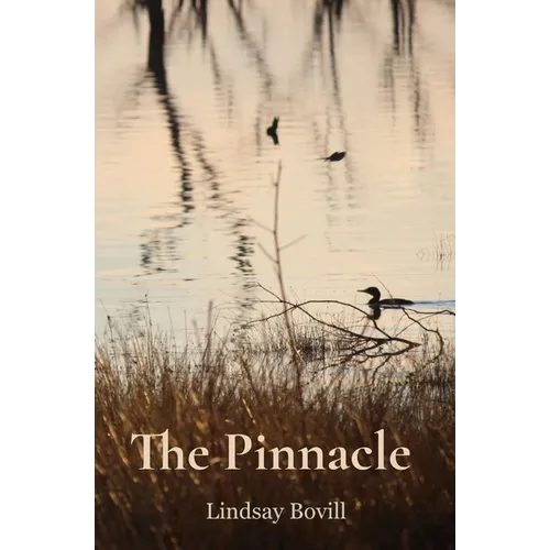 The Pinnacle