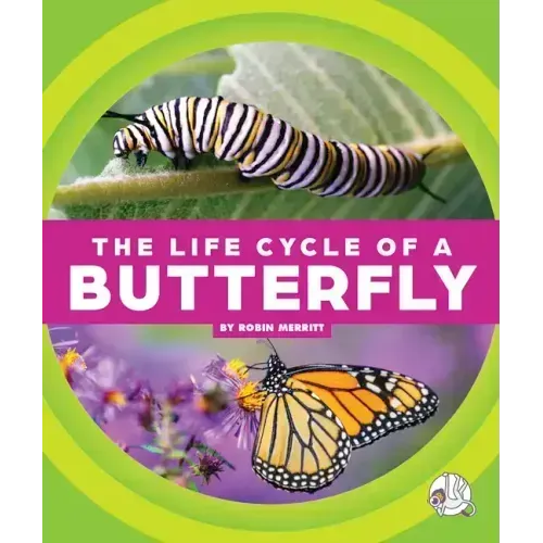 The Life Cycle of a Butterfly