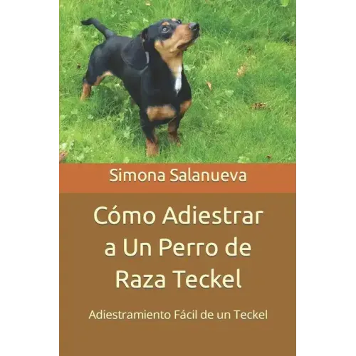 Cómo Adiestrar a Un Perro de Raza Teckel: Adiestramiento Fácil de un Teckel