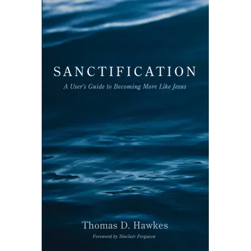 Sanctification: A User's Guide to Becoming More Like Jesus