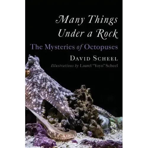 Many Things Under a Rock: The Mysteries of Octopuses