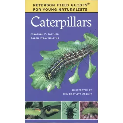 Caterpillars