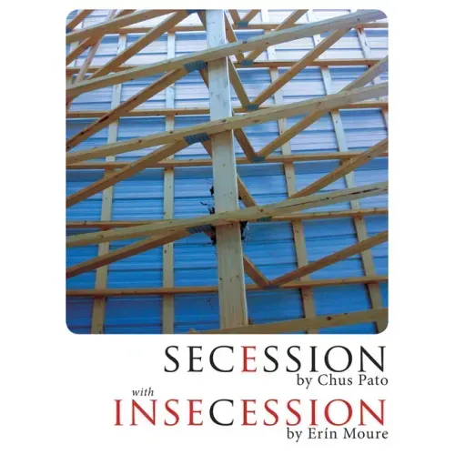 Secession/Insecession
