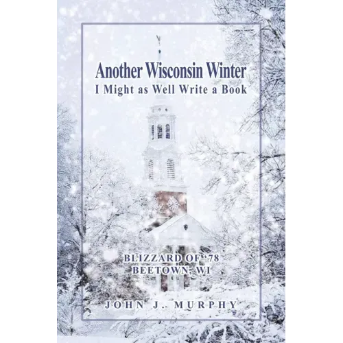 Another Wisconsin Winter