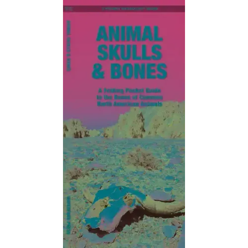 Animal Skulls & Bones: A Laminated Folding Guide to the Bones of Common North American Animals