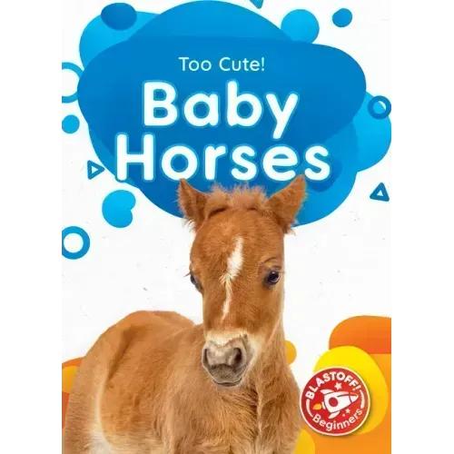 Baby Horses