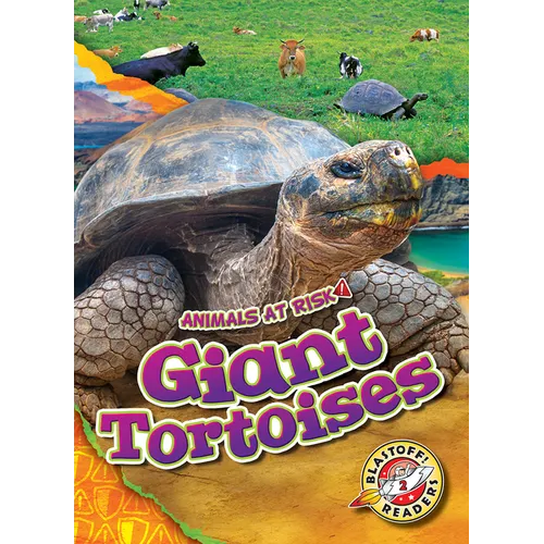 Giant Tortoises