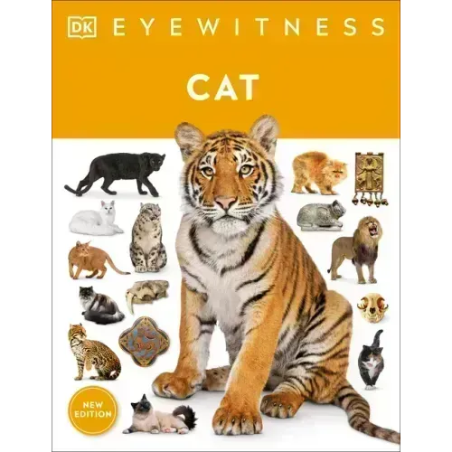 Eyewitness Cat