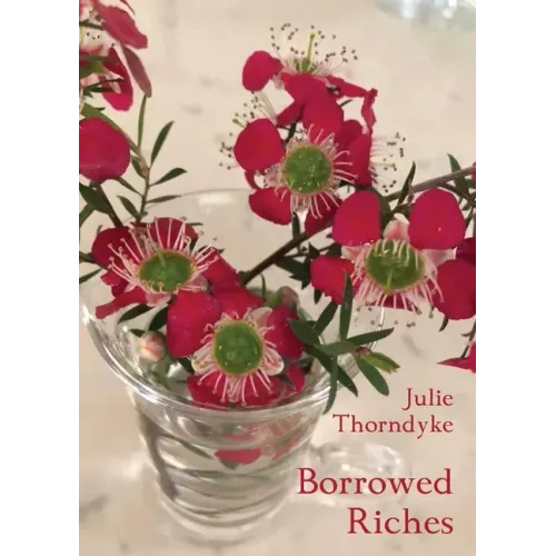 Borrowed Riches
