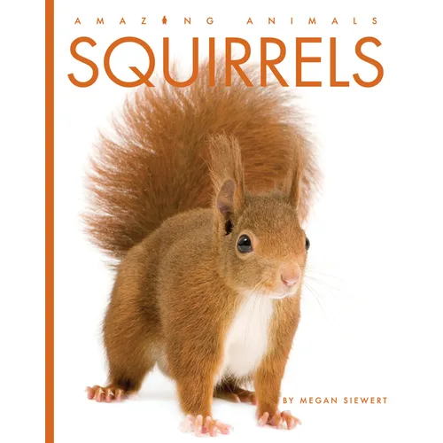 Squirrels