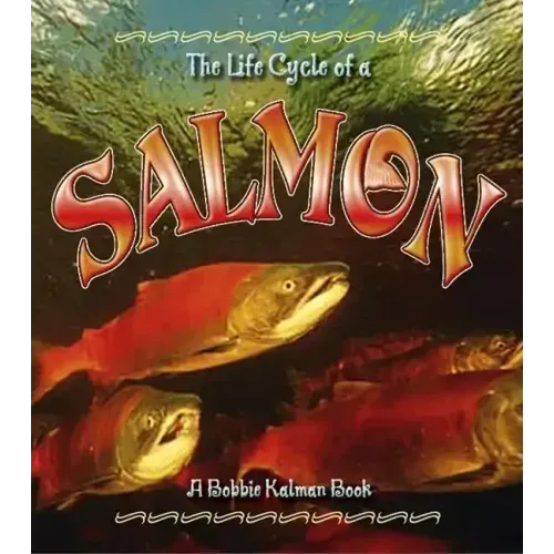 Salmon