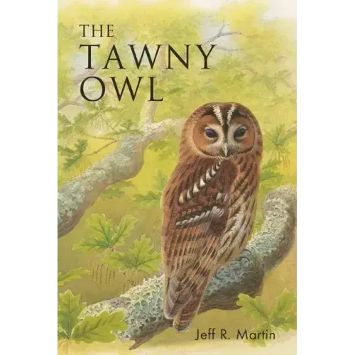 The Tawny Owl