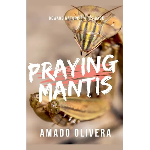 Praying Mantis