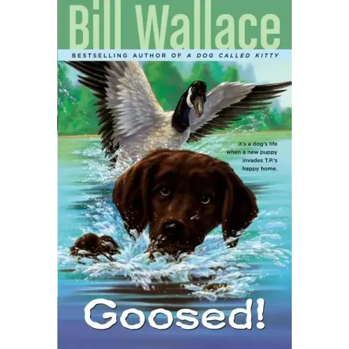 Goosed!