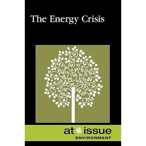 AI: The Energy Crisis -P