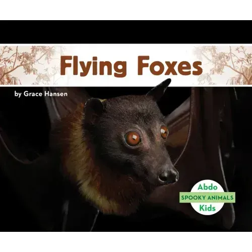 Flying Foxes