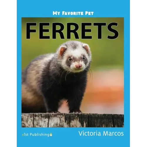 My Favorite Pet: Ferrets