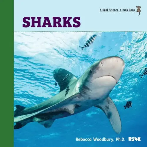 Sharks