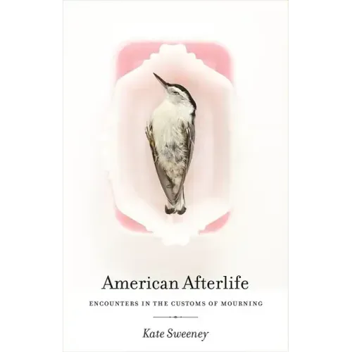 American Afterlife: Encounters in the Customs of Mourning