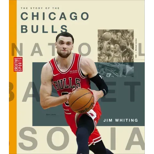 The Story of the Chicago Bulls
