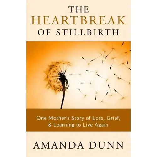 The Heartbreak of Stillbirth: One Mother's Story of Loss, Grief, and Learning to Live Again