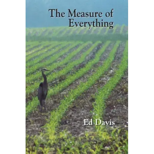 The Measure of Everything
