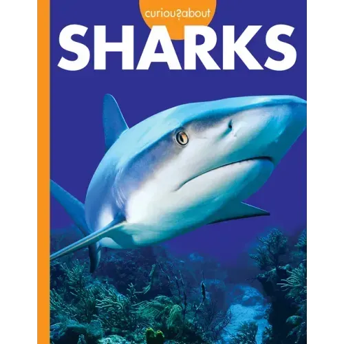Curious about Sharks