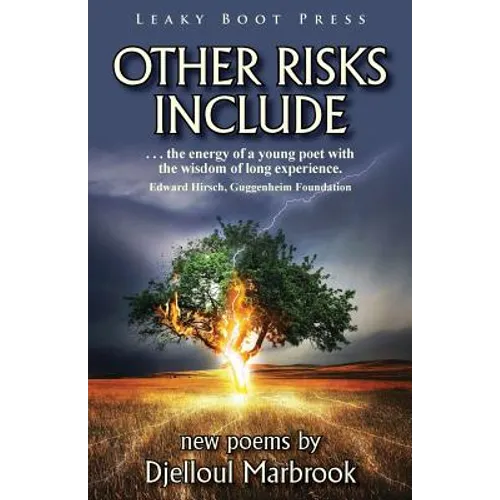 Other Risks Include