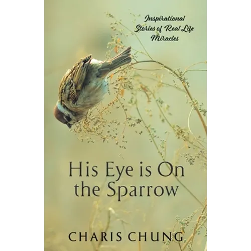 His Eye Is on the Sparrow: Inspirational Stories of Real Life Miracles