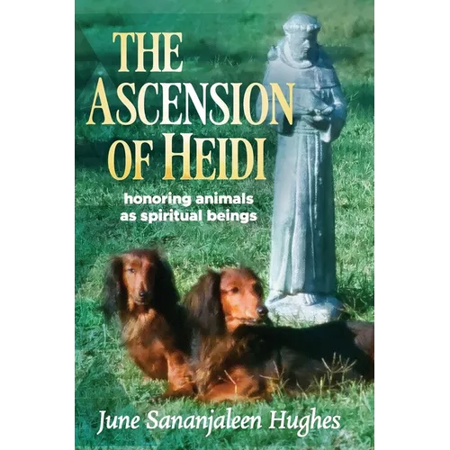 The Ascension of Heidi: A Longhaired Dachshund