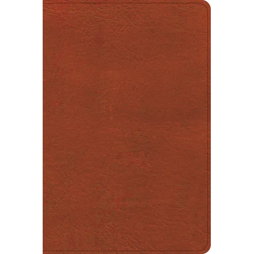 CSB Study Bible, Personal Size, Digital Study Edition, Burnt Sienna Leathertouch
