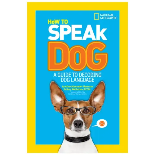 How to Speak Dog: A Guide to Decoding Dog Language
