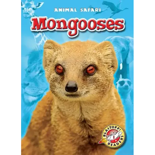 Mongooses