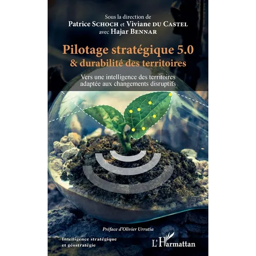 Pilotage stratégique 5.0 et durabilité des territoires: Vers une intelligence des territoires adaptée aux changements disruptifs