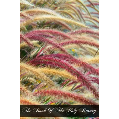 The Book Of The Holy Rosary: A Popular Doctrinal Exposition Of Its Fifteen Mysteries Mainly Conveyed In Select Extracts From The Fathers And Doctor