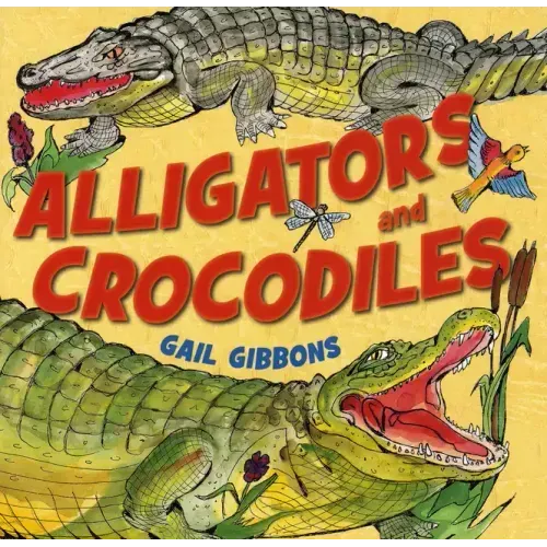 Alligators and Crocodiles