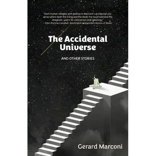 The Accidental Universe and Other Stories