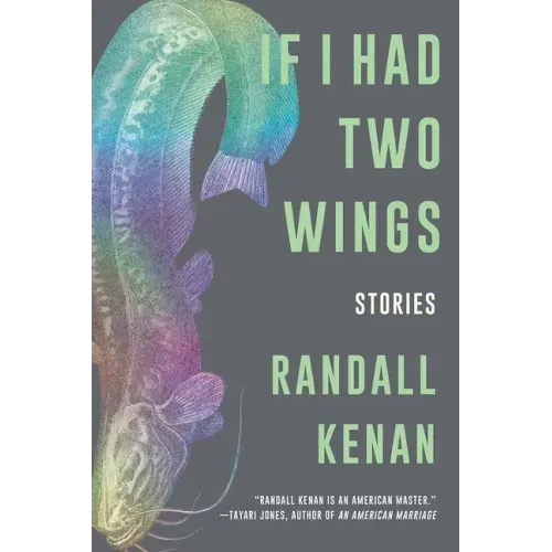 If I Had Two Wings: Stories