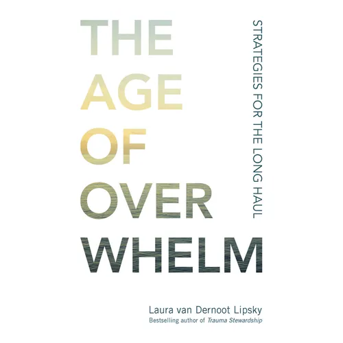 The Age of Overwhelm: Strategies for the Long Haul