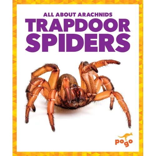 Trapdoor Spiders