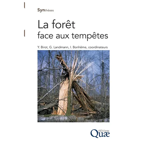 La forêt face aux tempêtes
