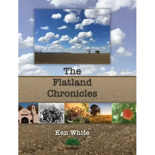 The Flatland Chronicles