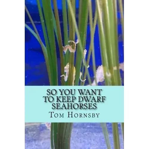 So you want to keep dwarf seahorses